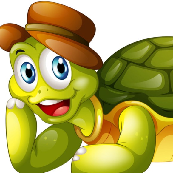 smilingturtle